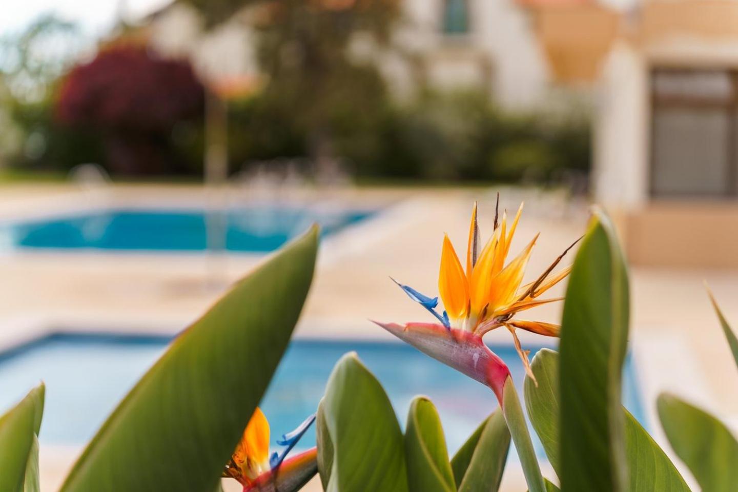 Edifico Baia Apartment Funchal (Madeira) Exterior foto